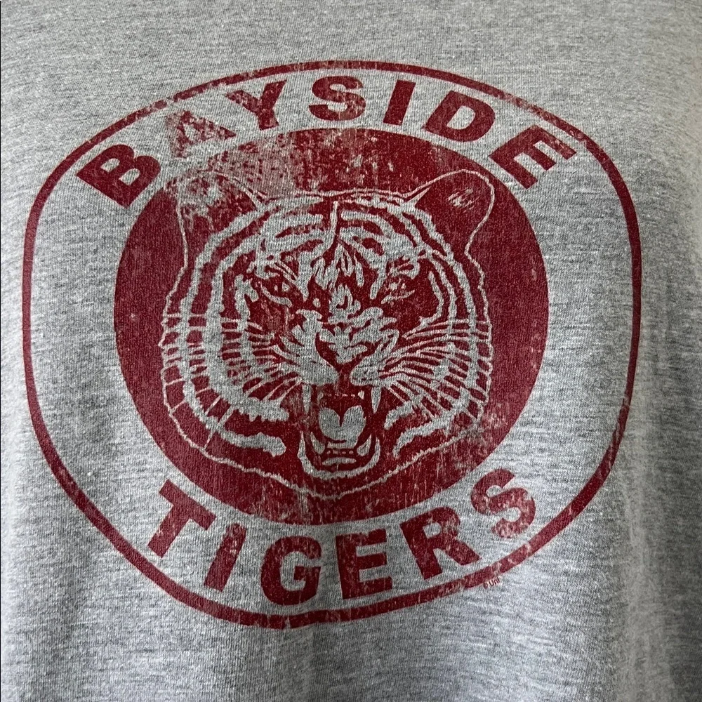 Bayside Tigers Gray Graphic Tee Saved by the Bell Halloween Costume Gildan Large - Picture 2 of 5